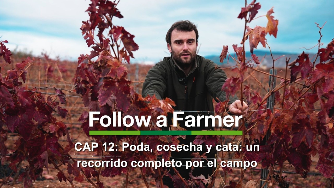 Poda, cosecha y cata: un recorrido completo por el campo. #FollowAFarmer Spain. S1:E12