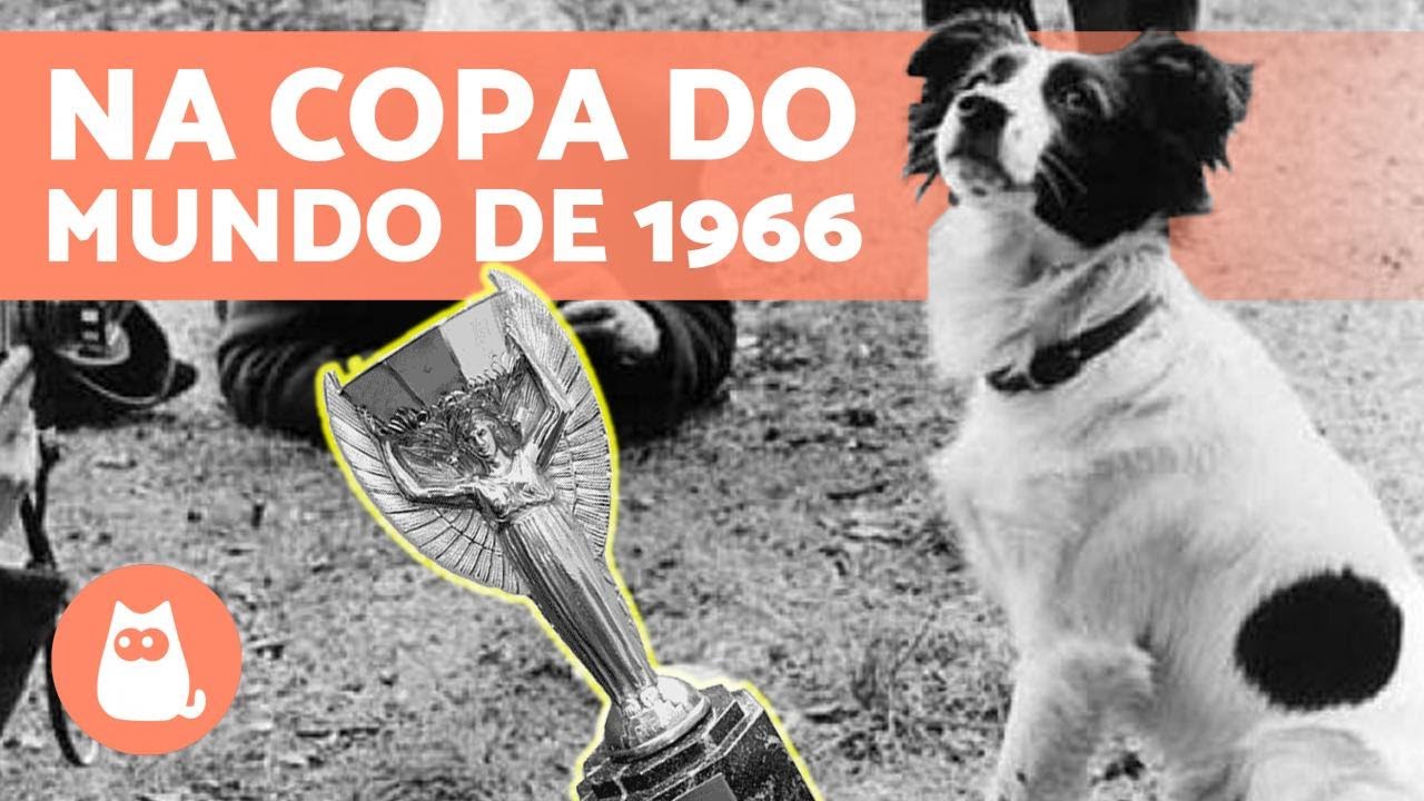 Nos anos 60, o troféu do Mundial foi roubado — o cão Pickles encontrou-o, Mundial 2022