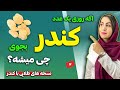 کندر را چگونه بخوریم از درمان آلزایمر گرفته تا تقویت قلب درمان مشکلات گوارشی و 