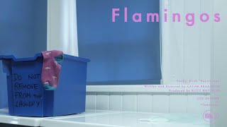 Flamingos - Short Film (2018)