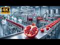Inside Factory Pomegranate Juice Processing Fresh Fruit To Premium Bottles Full Process
