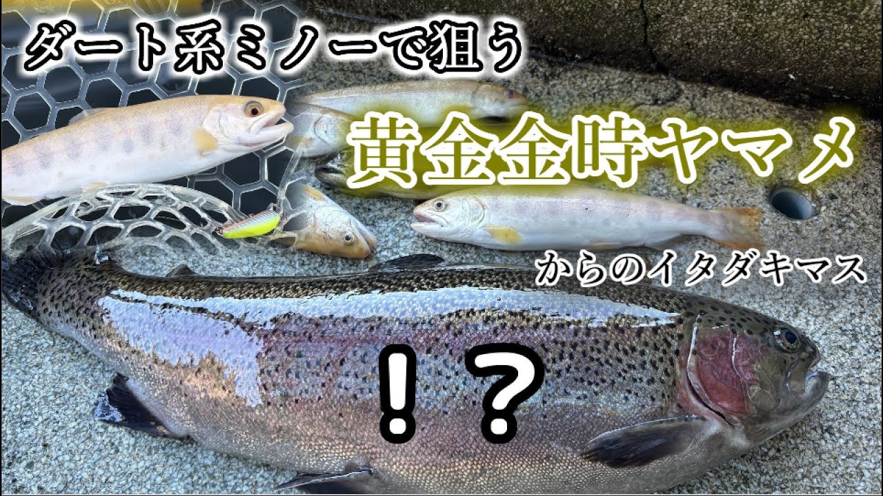 パニッシュ55/70】ミノーイングで