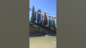 The best fails  tree branch river rope swing fail