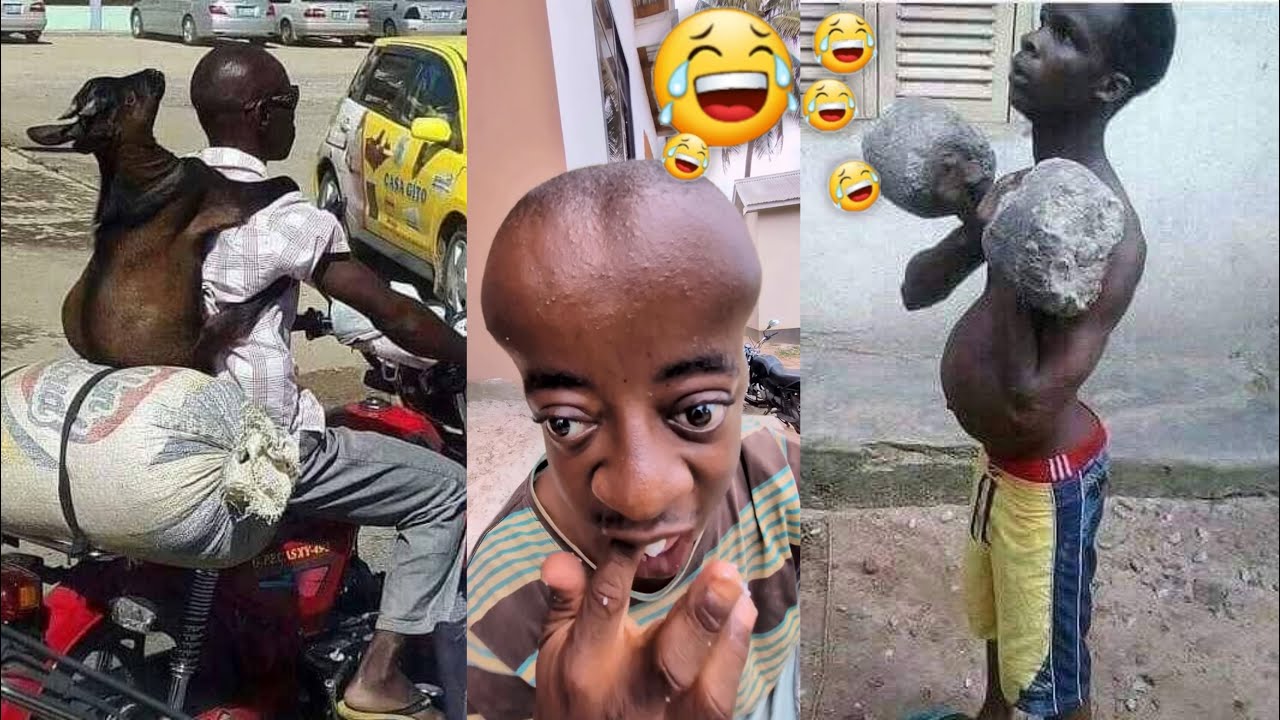 Top 99 Try Not To Laugh Hardest Challenge In 2025 // Most Funniest Videos On The Internet