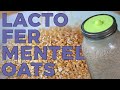 How to FERMENT your Oats - How to use Kefir Whey