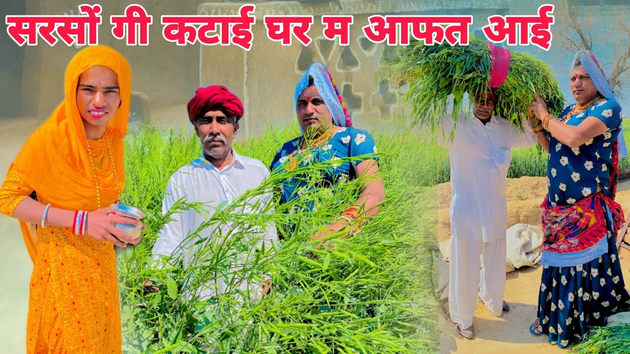 सरसों गी कटाई घर म आफत आई हरियाणवी राजस्थानी कोमेडी नाटक @DhakadTai