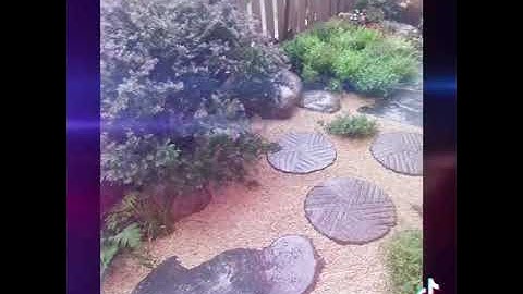 Cảnh quan sân vườn do công ty cảnh quan Thiên Lộc Phú thiết kế và thi công 2