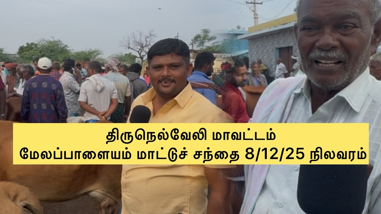 திருநெல்வேலி மாவட்டம் மேலப்பாளையம் மாட்டுச் சந்தை 8/12/25 நிலவரம்