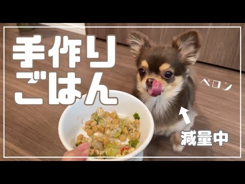 手作りご飯 簡単すぎる犬ご飯を作りました Youtube