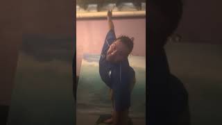 IMG 1010