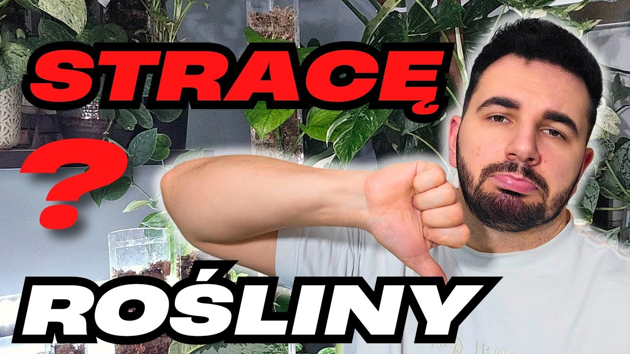 Roślinny kryzys...Co dalej z moją kolekcją ❓️