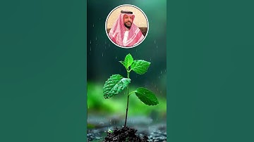 تلاوة تفوق الخيال بـ صوت القارئ أكرم آل حويس #سورة_الحاقة #اكسبلور #أكرم_آل_حويس
