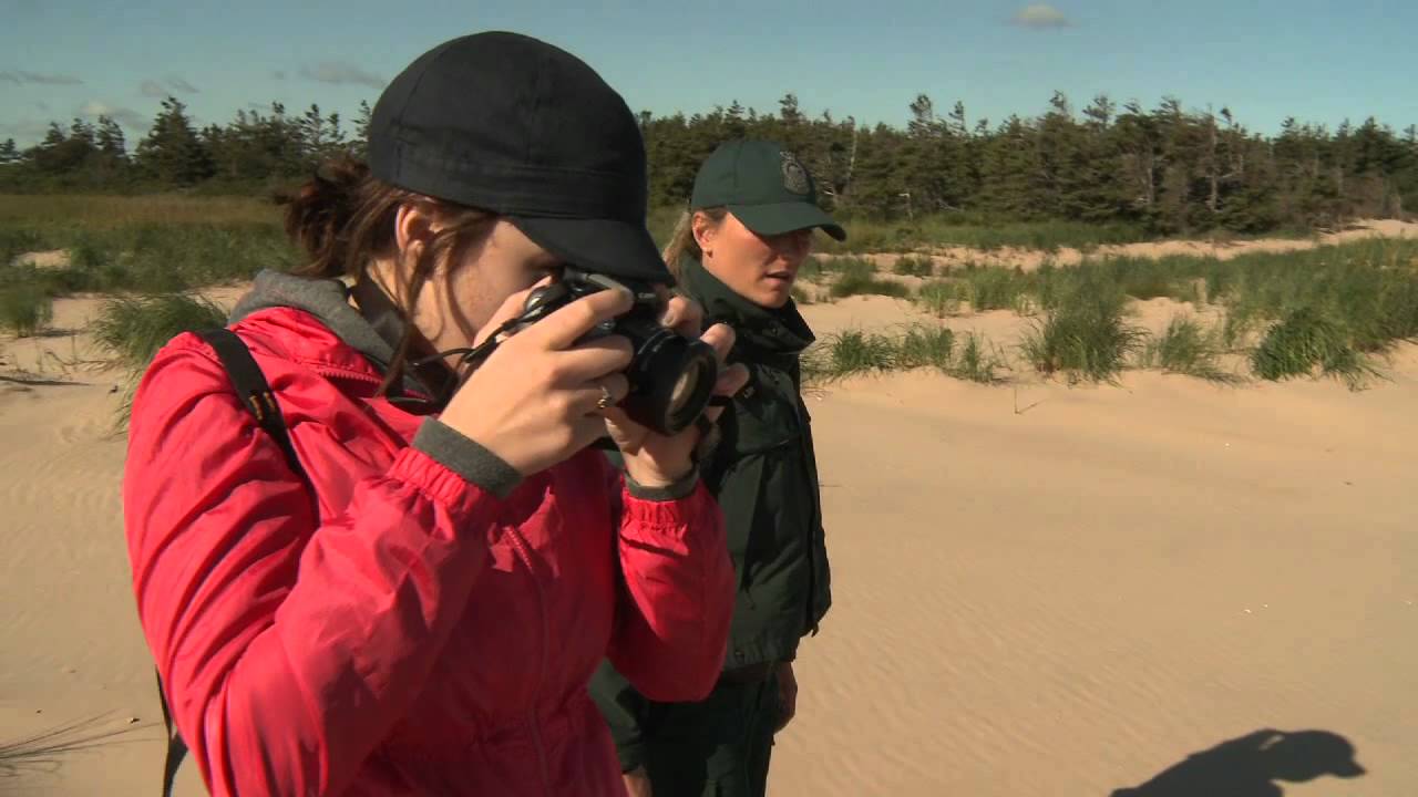 On the Job Parks Canada YouTube