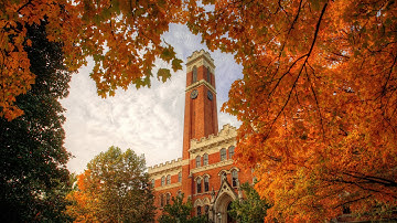 Vanderbilt By The Numbers