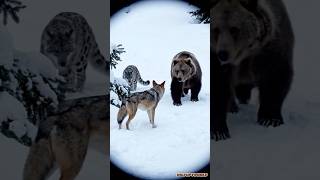 3 ХИЩНИКА В ОДНОМ МЕСТЕ😳#природа #животные #wildliferescue