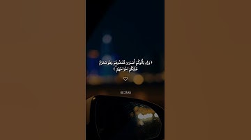 تدبر في سورة البقرة | الآية 85