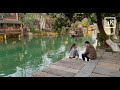 4kwalking in the most beautiful ancient towns in chinawuzhenchina traveltongxiang