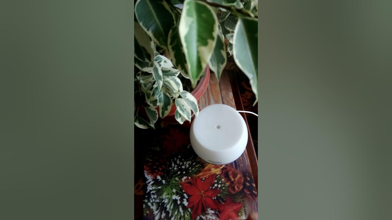 Смесь Адаптив doTerra - незаменимый помощник в любом бизнесе, деле ...