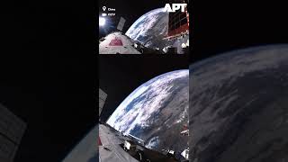 Adorable Mice Astronauts Return from Space! Shenzhou-20 Breakthrough | APT