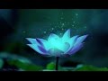 Miniature de la vidéo de la chanson Lotus Bloom