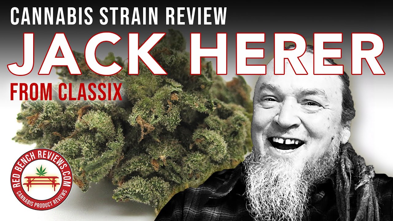 Classix |  Jack Herer Strain Review | 21.98% THC!