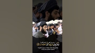 قرآن كريم القارئ: رعد الكردي|| ستوريات انستجرام دينيه // فيديو قصير // راحه نفسية