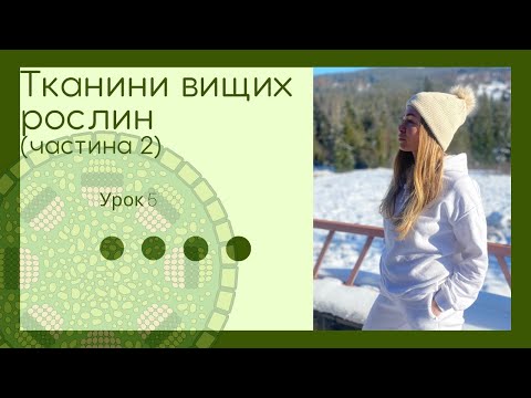 Тканини рослин. Ботаніка. 6 клас. Підготовка до ЗНО