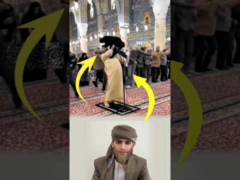 قفزت القطة فجأة فهرب البعض لكن من ثبت قلبه بالله بقي