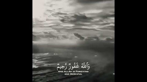 أفلَا يَتُوبُونَ إِلى اللَّه وَيَستَغفِرونَه وَاللَّهُ غَفُورٌ رَّحِيمٌ||ياسر الدوسري||تلاوة خاشعة❤🌹