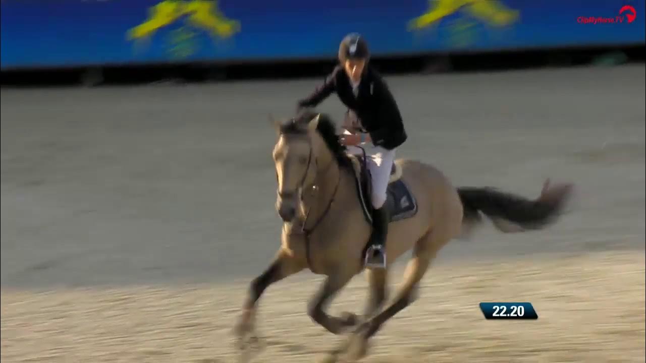 Ard Golden Crisp 7yo World Breeding Championships Lanaken