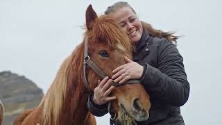 How Iceland’s Horses Learned to Type Emails