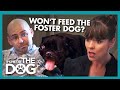Victoria Walks Out During Argument About Foster Pug | It's Me or the Dog
