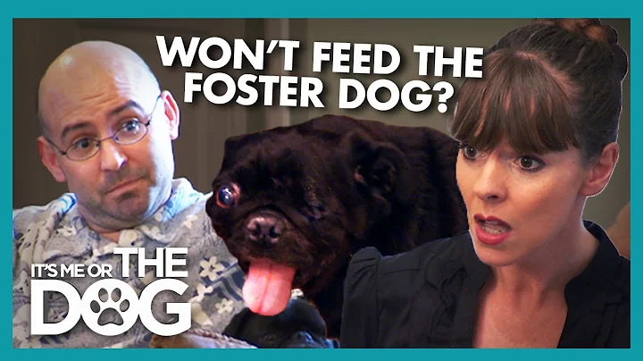 Victoria Walks Out During Argument About Foster Pu...