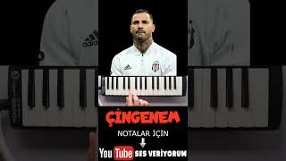 ÇİNGENEM Melodika Notaları