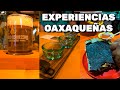 Oaxaca #3 EXPERIENCIAS QUE TIENES QUE HACER SI O SI CUANDO VENGAS A OAXACA ft. @Jon Sinache