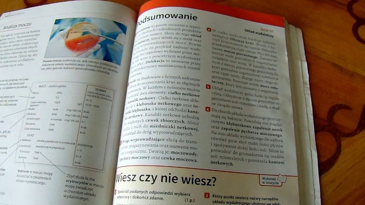 Układ Wydalniczy Test Klasa 7 Klasa 7. Temat: Układ wydalniczy podsumowanie - YouTube
