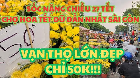 SỐC NẶNG CHIỀU 27 TẾT 2025, CHỢ HOA TẾT DỮ DẰN NHẤT SÀI GÒN: VẠN THỌ LỚN ĐẸP XẢ HÀNG 50K!!!