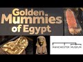 Manchester museum walkthrough tour  golden mummies of egypt
