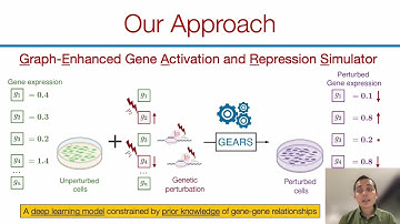 GEARS: Predicting transcriptional outcomes of novel... - Yusuf Roohani - MLCSB - Poster - ISMB 2022