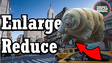 Enlarge Reduce