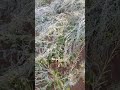 0° degree temprature