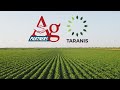 Utilizing taranis crop scouting