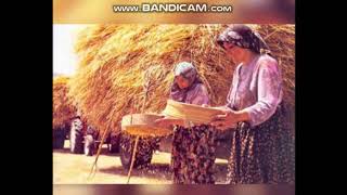 Bi̇r Tenhada Gör Hali̇mi̇...ertan Karacan...