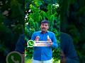 WhatsApp वरून HD Quality मध्ये Photos Share करा ##whatsapp #tips #shorts #ytshorts