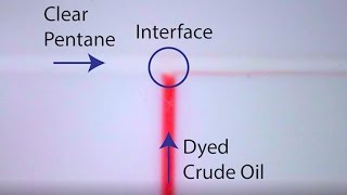 Visual Reservoir - Episode Six: Diffusion of Pentane into Crude Oil