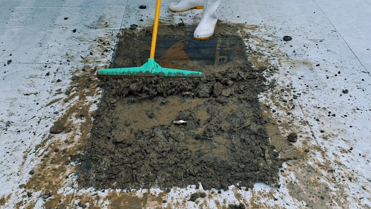 Dirty carpet cleaning with satisfying ASMR