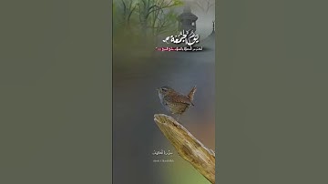 #سورة_الكهف #عبد_الباسط_عبد_الصمد إذ أوى الفتية إلى الكهف فقالوا ربنا أتنا من لدنك رحمة