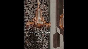 سموت بنور يضيء الدنا حبيبي يا رسول الله صلوا على خير الخلق والمرسلين 