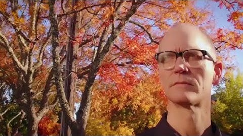 Doug Cutting: Ten Years of Hadoop - BigData.SG & Hadoop.SG