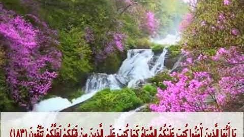 تلاوة ماتعة لإيات الصيام | الشيخ صالح زكريا